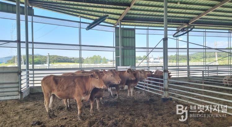 정읍시, 2027년 가축분뇨 처리 지원사업 수요조사…20일까지 접수