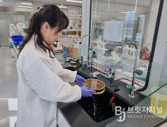 농산물안전분석센터 토양검정 담당자가 체가름법으로 성토토양 모래함량을 분석하고 있는 모습