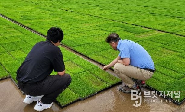 영광군, 벼 안전육묘 현장 기술지원 본격 추진