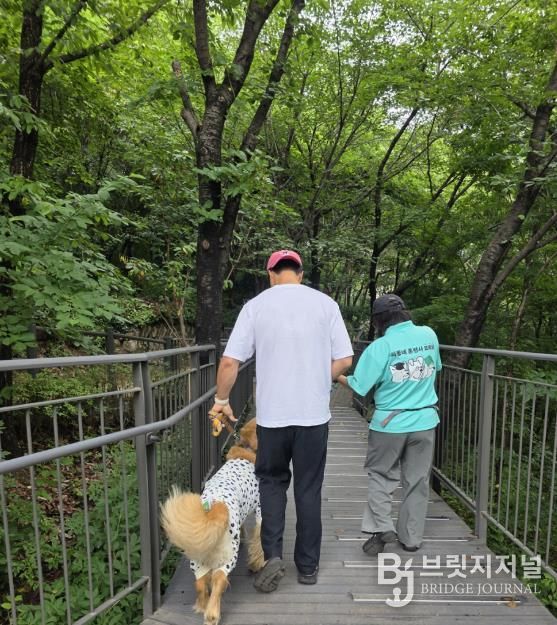 지난해‘산책할개’남산자락숲길 산책 실습