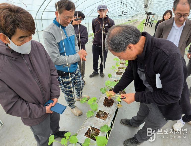 농업기술센터, ‘수경멜론 찾아가는 현장 컨설팅’
