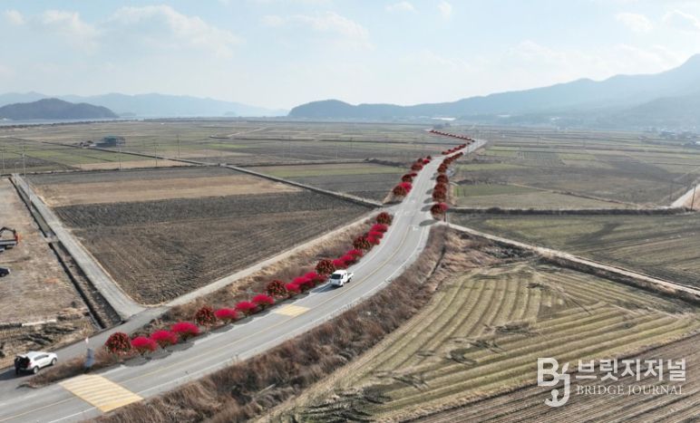 신규 가로수길 조성 조감도