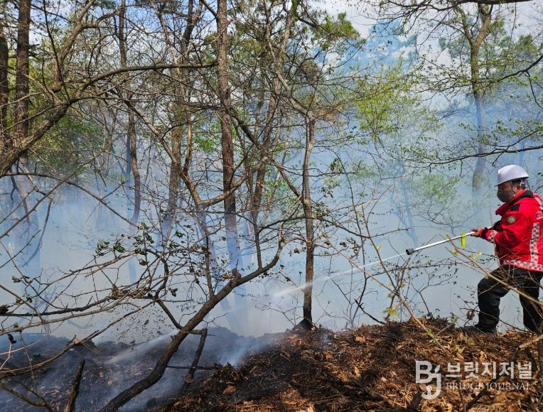 1. 천안시 산불진화대가 산불 진화활동을 하고 있다.