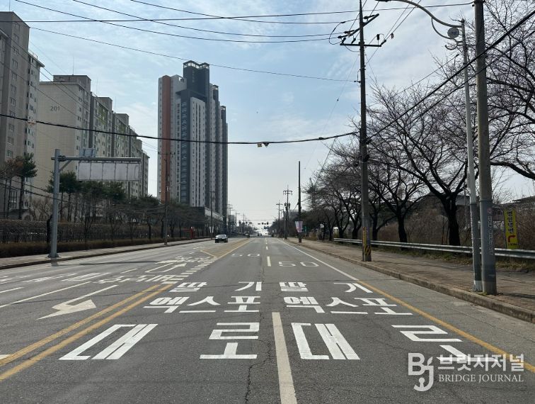 ‘세계 딸기 수도’로 가는‘딸기엑스포대로’ 새 단장