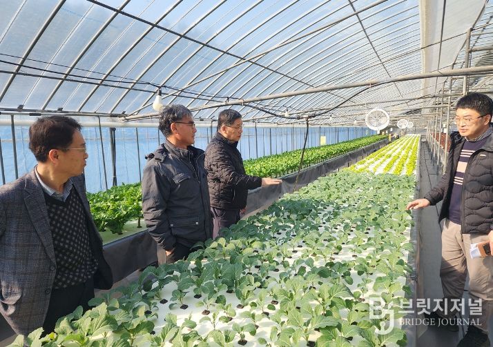 여수시가 학교급식 친환경농산물 계약재배 농가 현장을 방문해 의견을 교환하고 있다.