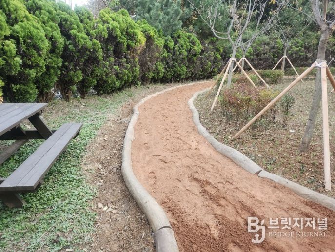 지난 2025년 조성된 성연면 테크노숲속공원 황톳길