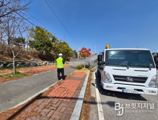 도심 가로수 생육환경 개선 위해 병해충 적기 방제