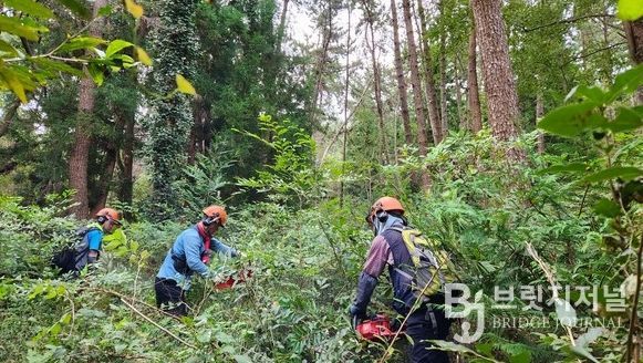 방치된 산도 신청만 하면 체계적으로 관리