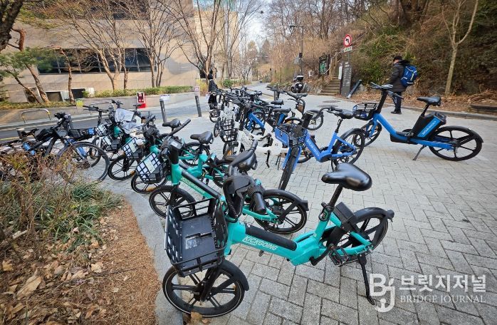보도 위 통행방해 전기자전거 현황