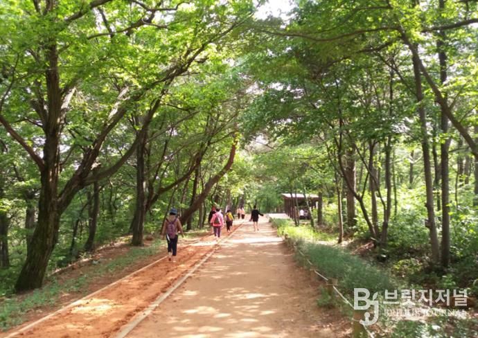 김해시 분성산 생태숲 황톳길 개장