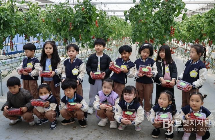 아이들이 월동 초화류와 토마토 따기 체험을 실시하고 있다.