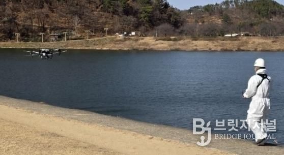 밀양시가 밀양강 일원에서 드론을 활용해 방역 작업을 실시하고 있다.