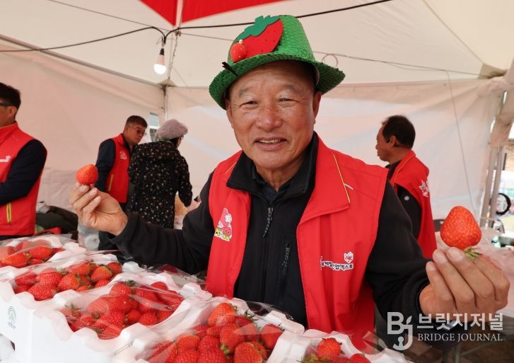 논산딸기축제 SNS인증샷 열풍