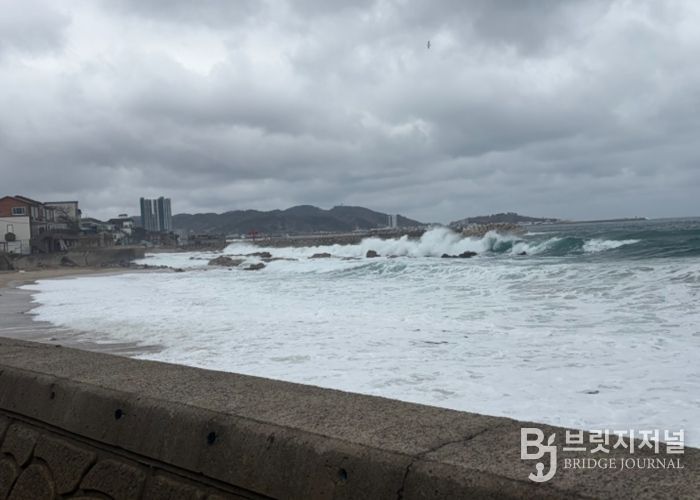 울진해경, 위험예보제'주의보'발령, 너울성 파도 주의