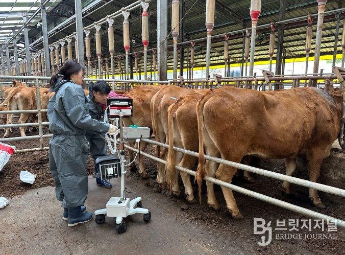 한우 개량지원사업 전국 평가 1위