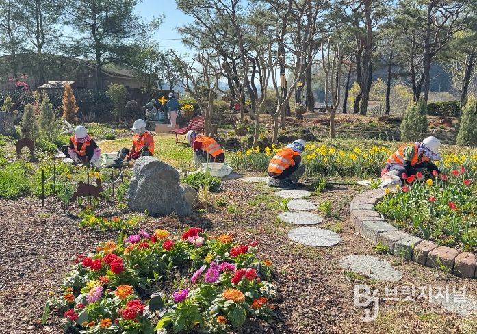 합천군, 봄맞이 녹지공간 정비‘박차’…도심 곳곳 생기 더한다
