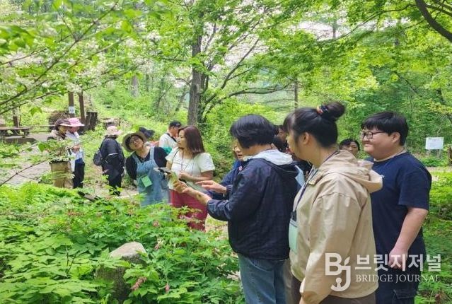 산림교육 프로그램 참여자 모습. 한국산림복지진흥원 국립횡성숲체원 제공