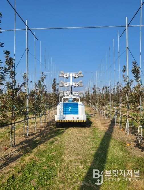 장수군, AI 기반 기상예측 기술로 사과 재배 농가 경쟁력 강화