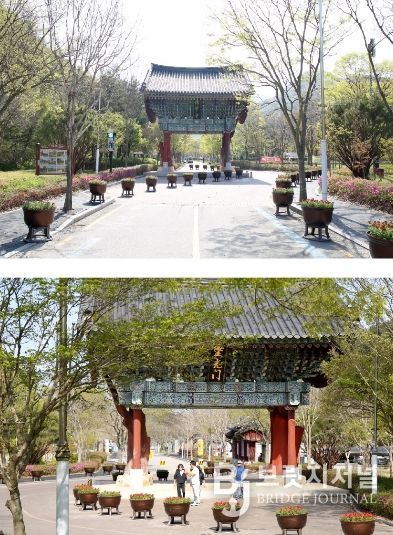 버베나, 불갑사 일주문이 꽃길