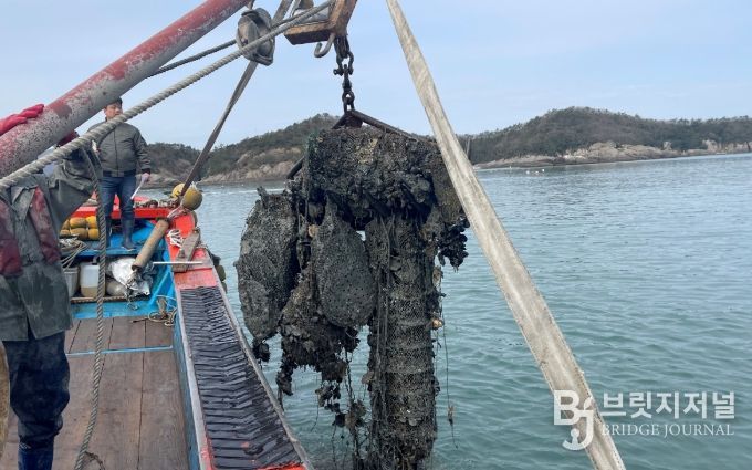고흥군, 50억 규모 청정어장 재생사업 선정