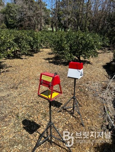 디지털트랩 설치 전경